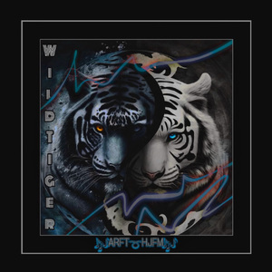 大雞巴疯狂浓精合集
